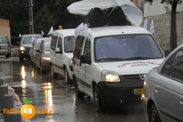 qafela sayarat haiywa (4).JPG